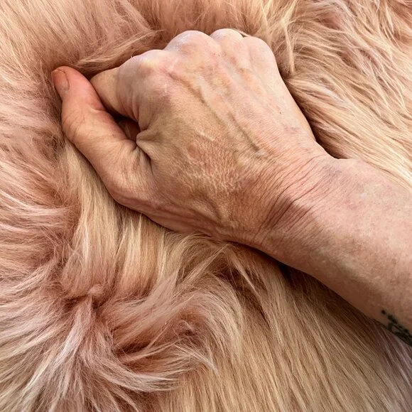 Article (Retired) Lanna Round Pink Sheepskin Pair of Pillows - EUC - So Soft! - Picture 6 of 11